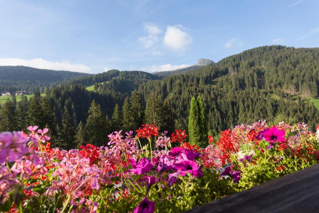 Alpenspitz Appartements - Garni - B&B Racines Exterior photo