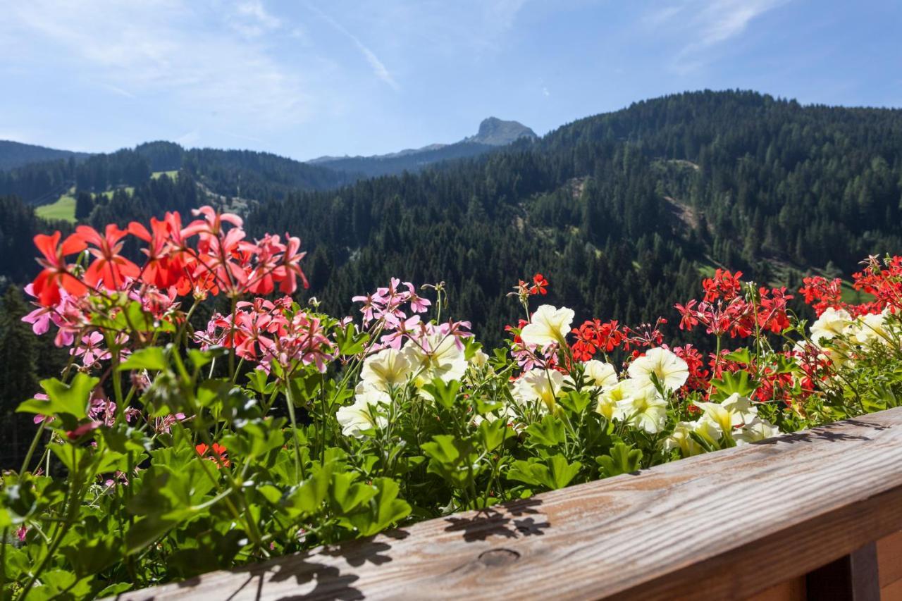 Alpenspitz Appartements - Garni - B&B Racines Exterior photo